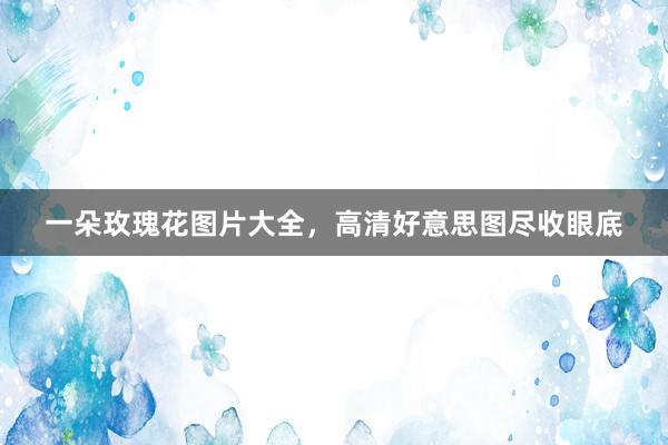 一朵玫瑰花图片大全，高清好意思图尽收眼底